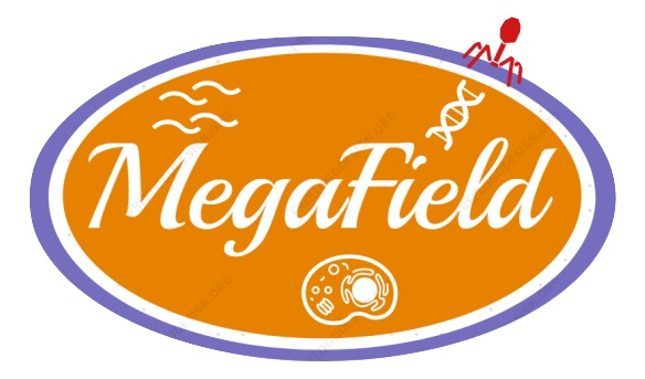 megafield